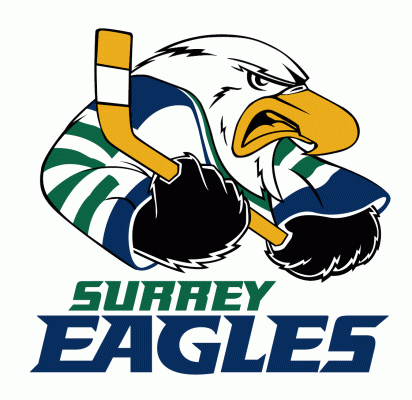 Surrey Eagles 2003-2010 Primary Logo iron on heat transfer